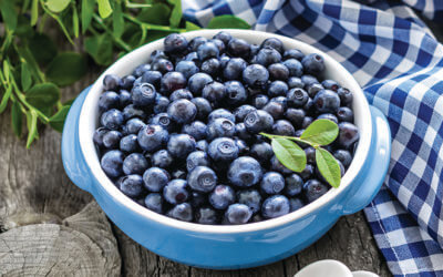 July-August Newsletter 2025