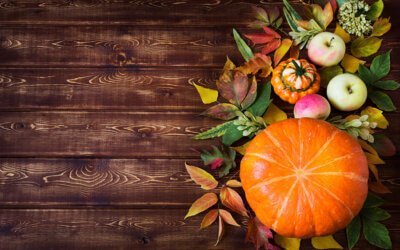 September-October Newsletter 2025