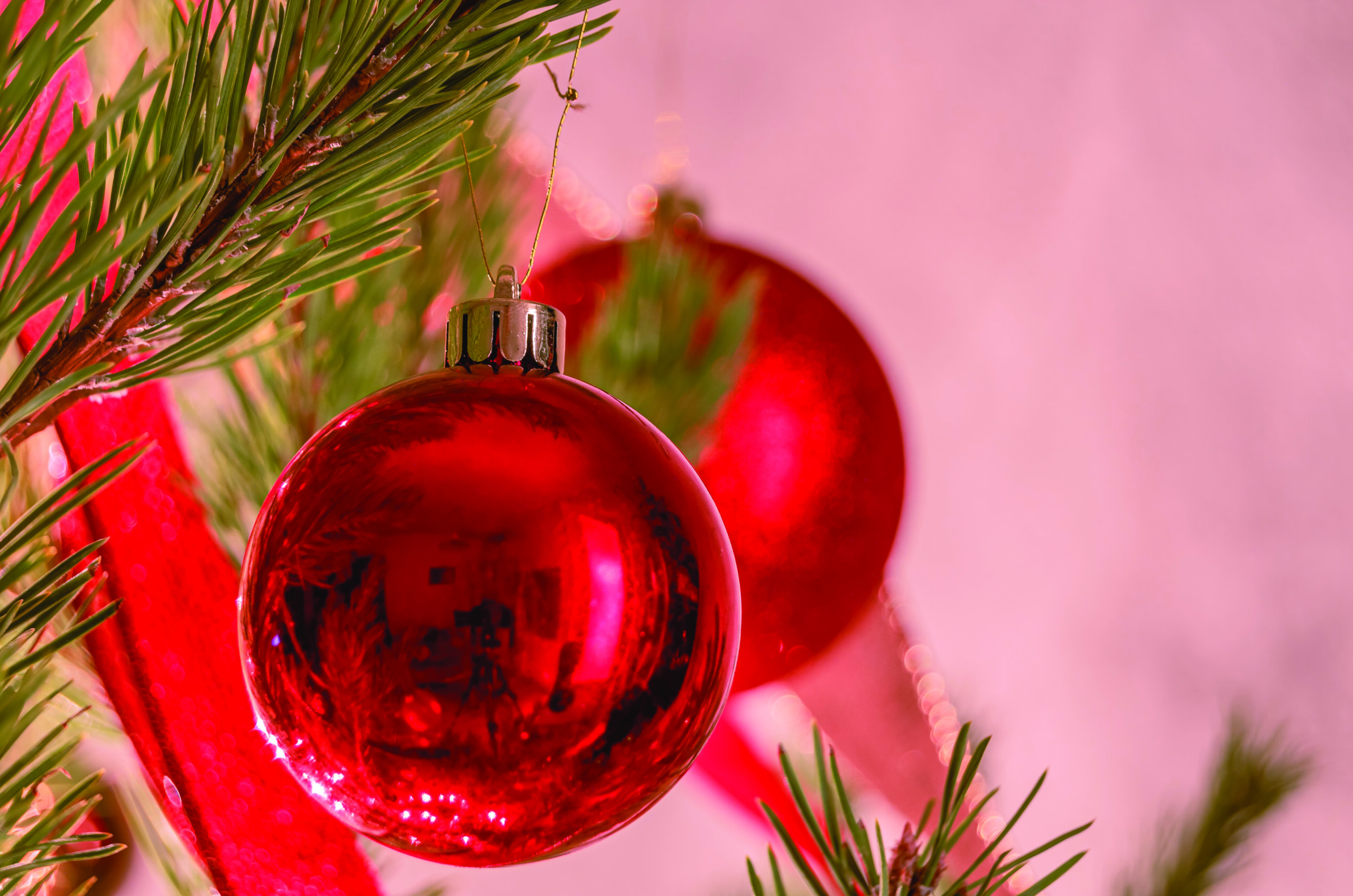 November-December Newsletter 2025